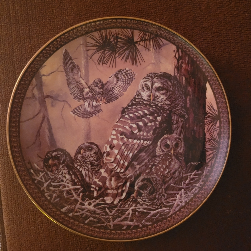 The Bradford Exchange Barred Owl Family